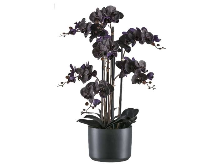 Kunstpflanzen Phalaenopsis im Keramiktopf, Schwarz Gasper