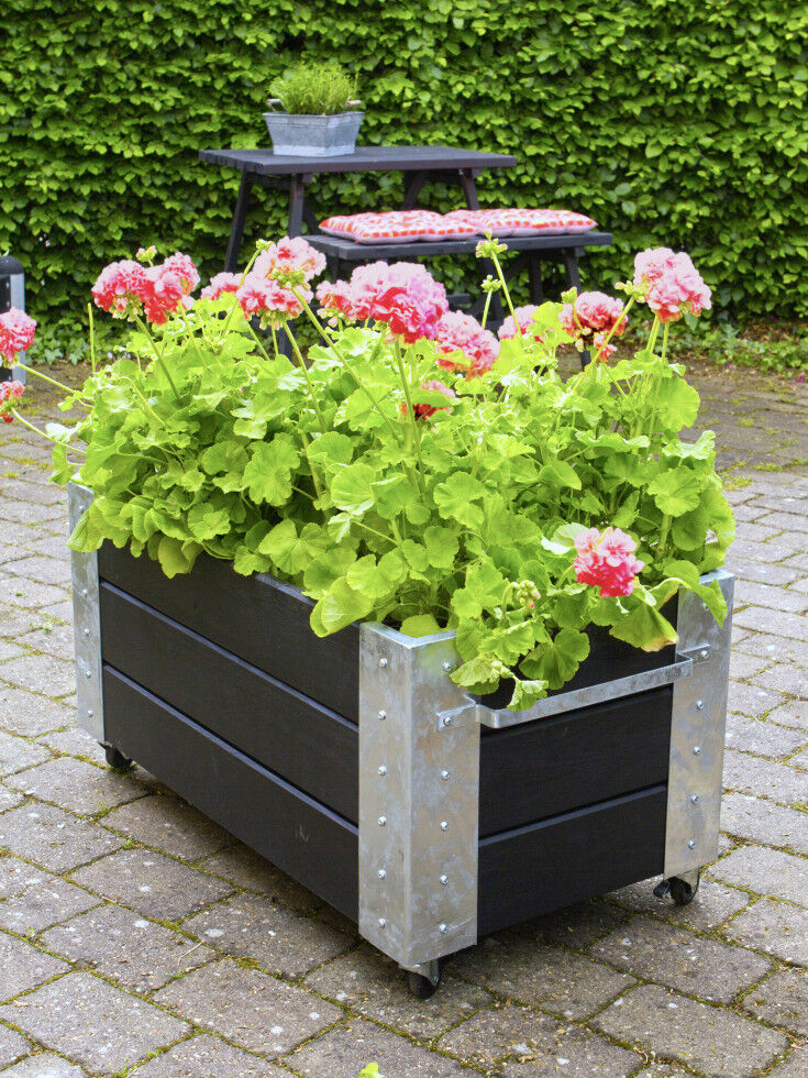 Plus Blumenkasten Cubic 87 x 50 x 47 cm schwarz mit Räder