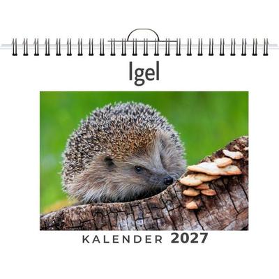Igel