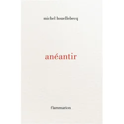 Titre A Venir, Belletristik von Michel Houellebecq