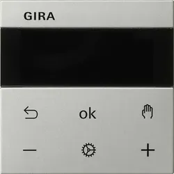Gira 5393600 S3000 RTR Display System 55 Edelstahl