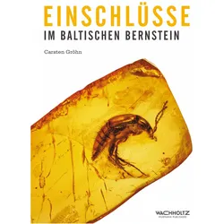 Einschlüsse im baltischen Bernstein, Ratgeber von Carsten Gröhn