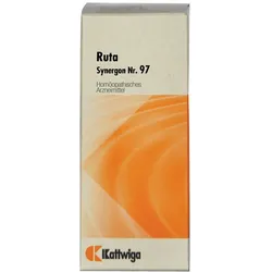 Synergon Komplex 97 Ruta Tropfen 50 ml
