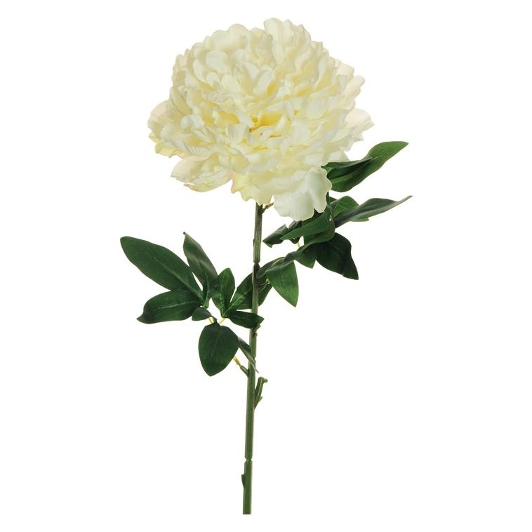 zz_archiviert_Nenurodyta Kunstblume, Pfingstrose, weiss, 82 cm (82 cm) (77170872)