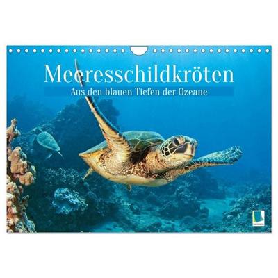 Meeresschildkröten: Aus den blauen Tiefen der Ozeane (Wandkalender 2027 DIN A4 quer), CALVENDO Monatskalender