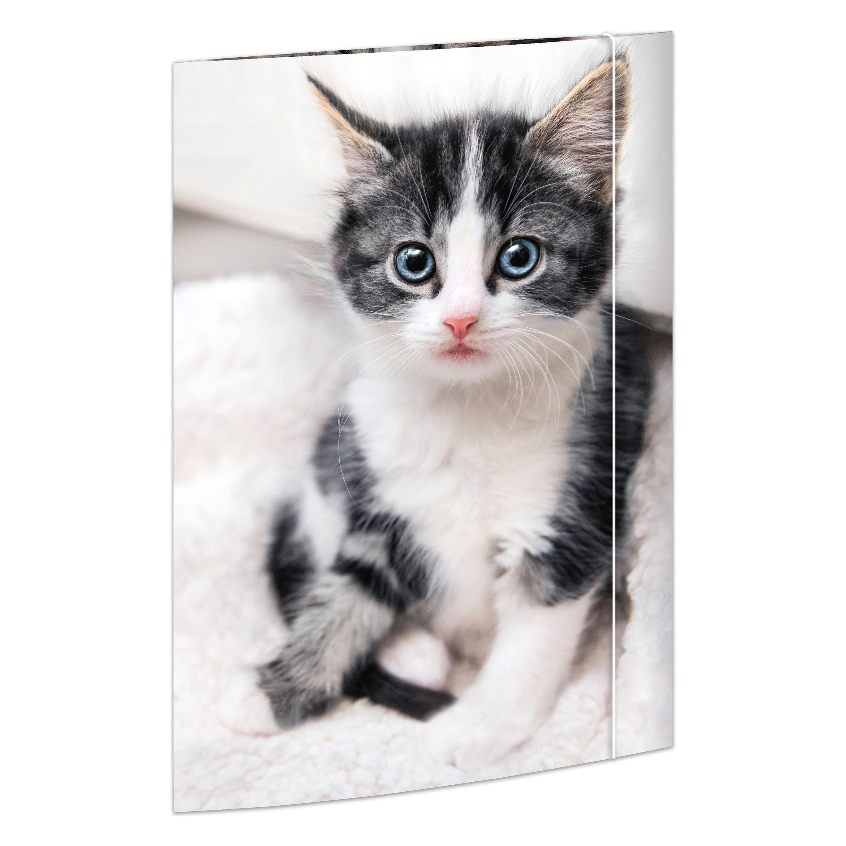 Rnk Gummizugmappe A3 15St Tiere sortiert (A3, 15x) (45033)