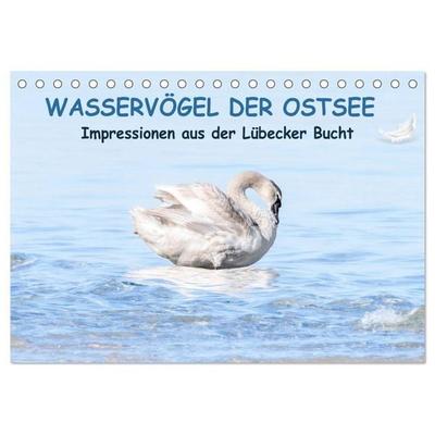 Wasservögel der Ostsee - Impressionen aus der Lübecker Bucht (Tischkalender 2026 DIN A5 quer), CALVENDO Monatskalender