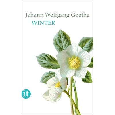 Winter, Taschenbuch von Johann Wolfgang von Goethe, Insel