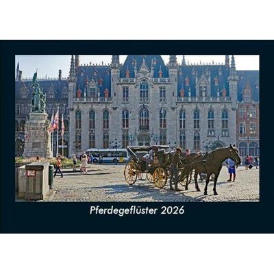 Pferdegeflüster 2026 Fotokalender DIN A5