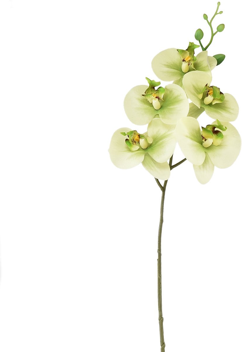 Kunstmatige Orchidee Phalaenopsis Geelgroen 85 cm
