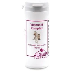Vitamin B Komplex für Hunde