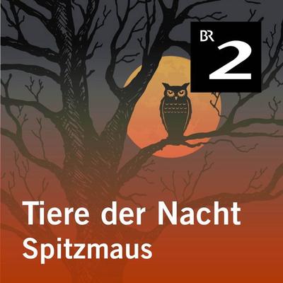 Tiere der Nacht: Spitzmaus - Silke Wolfrum, Audio, 4057664414250