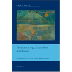 Phenomenology, Modernism and Beyond, Fachbücher