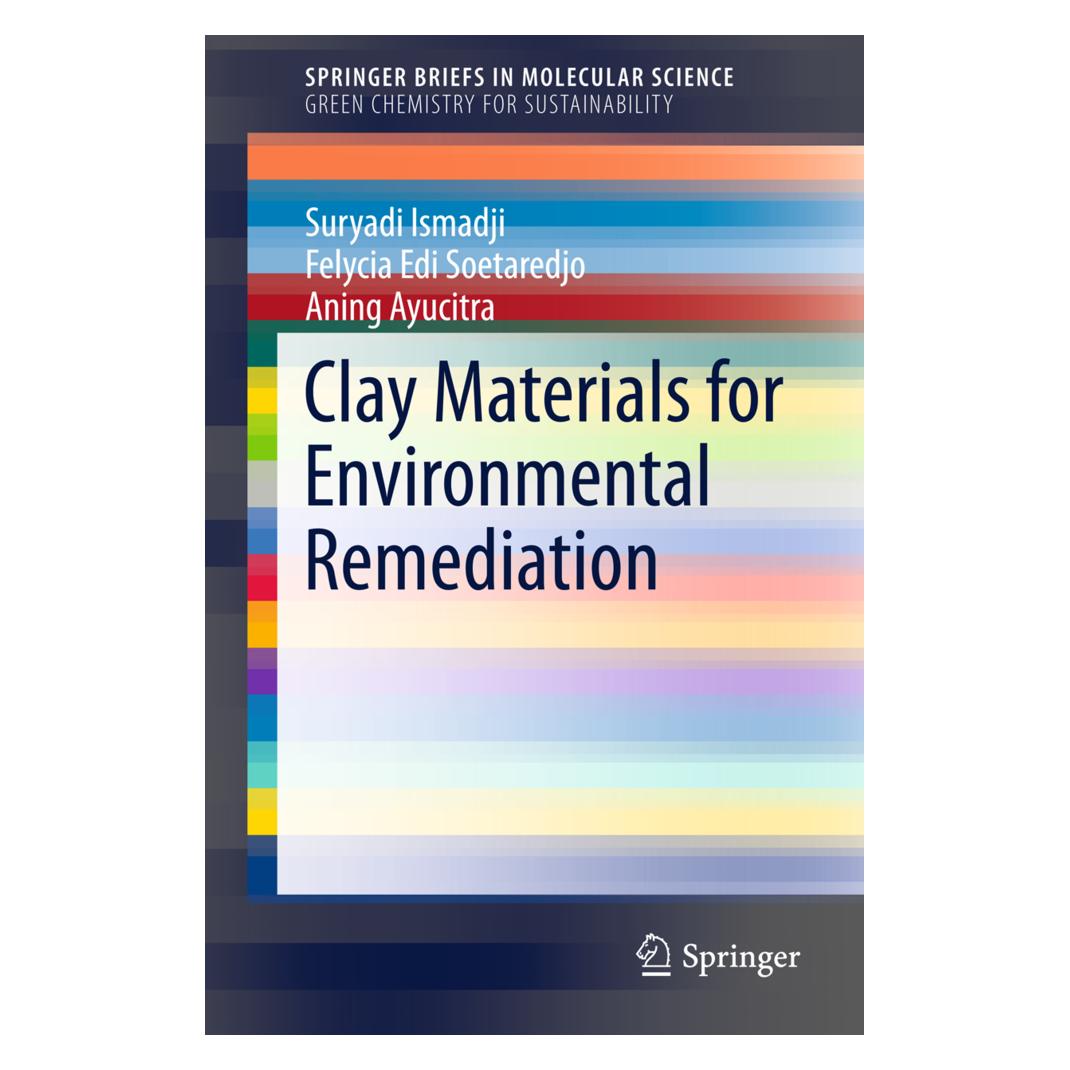 Springer Clay Materials for Environmental Remediation (Englisch, Softcover, Aning Ayucitra, Felycia Edi Soetaredjo, Suryadi Ismadji) (55582149)