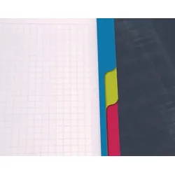 Clairefontaine Konferenzblock A4, kariert, 80 Blatt, mit starkem Deckel, 4-fach Lochung, 4-farbigem Rand, keine Farbwahl möglich