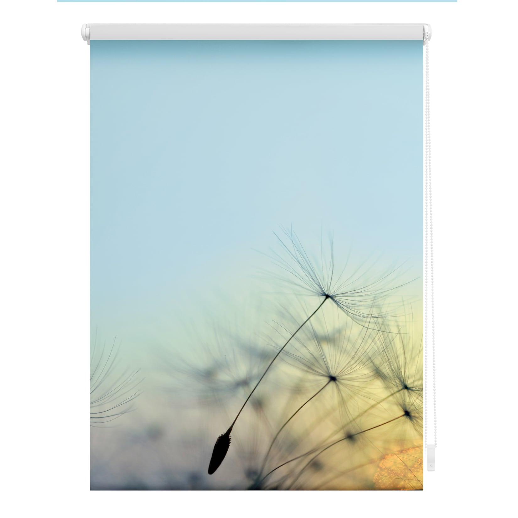 Lichtblick Rollo Klemmfix, ohne Bohren, Verdunkelung, Pusteblume - Blau