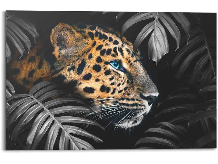Wandbild REINDERS Wandbild Leopard Jungle - Pflanze - Tiermotiv , bunt (farbe bild(er): mehrfarbig), B:90cm H:60cm, MDF, Bilder, Wandbild