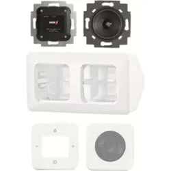 Busch-Jaeger Busch-Radio DAB+ Kompl Set Eckmont. 8250 AJ-214-101