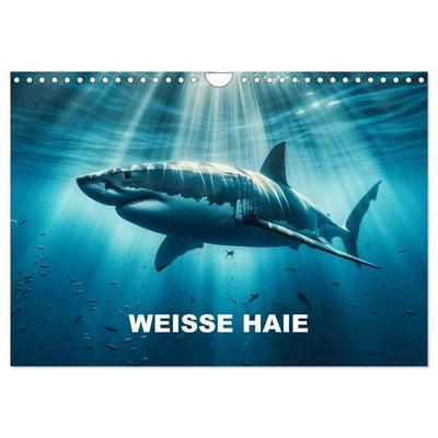 Weiße Haie (Wandkalender 2027 DIN A4 quer), CALVENDO Monatskalender
