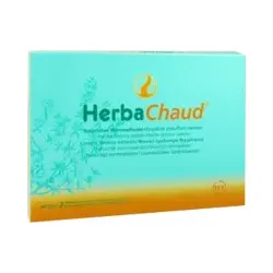 HERBACHAUD Wärmepflaster 2 St