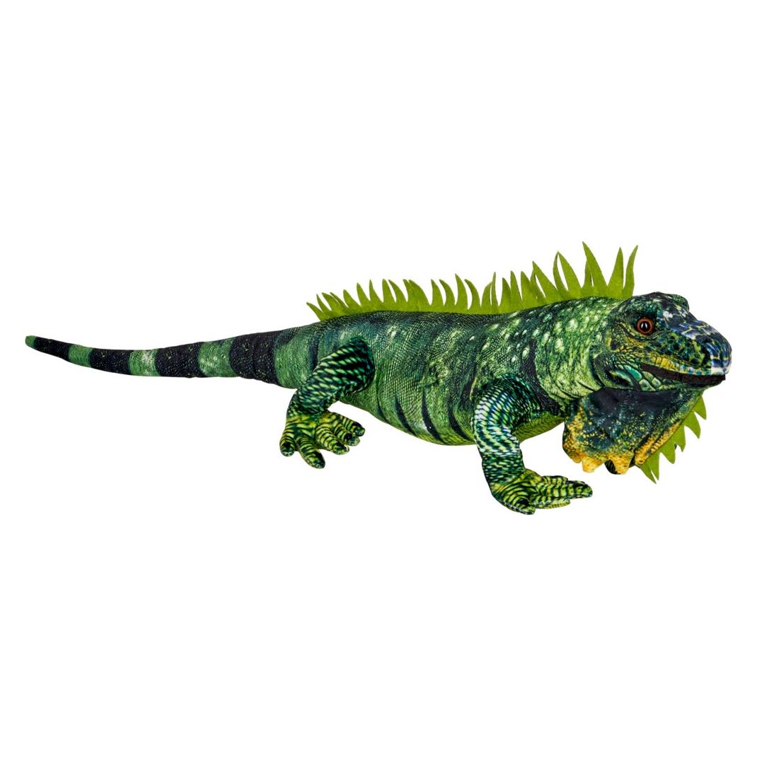 Coppenrath Grüner Leguan Nature Zoom Wild (88 cm) (B06XKBXY3R)