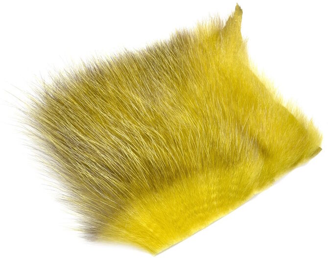 Futurefly American Opossum-Olive #2