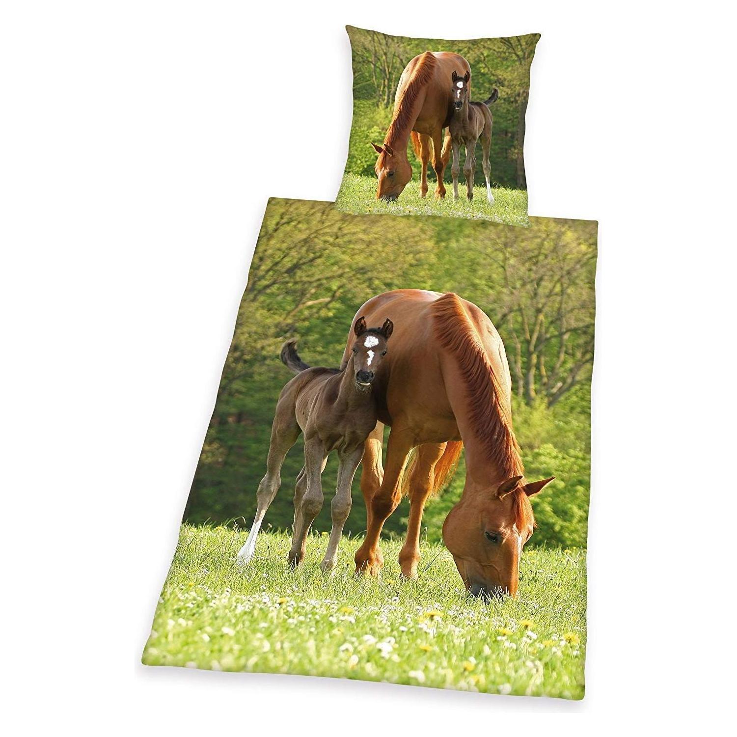 Herding Pferd mit Fohlen (135 x 200 cm, 80 x 80 cm) (44240 28.050)