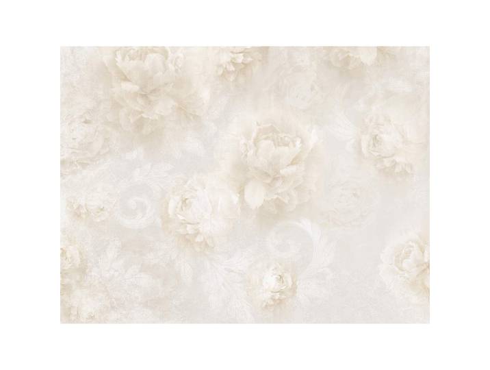 Papier Peint Mural Intisse Fleurs Blanches 360x270 Cm
