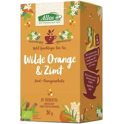 Wilde Orange & Zimt - 20 Beutel
