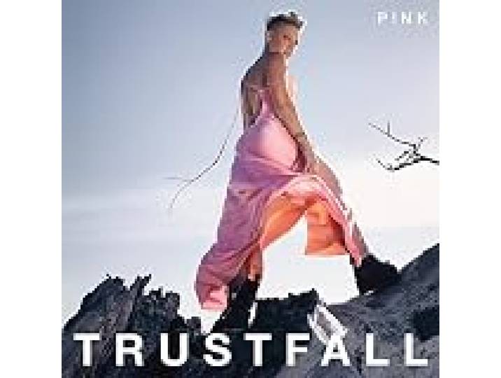 TRUSTFALL