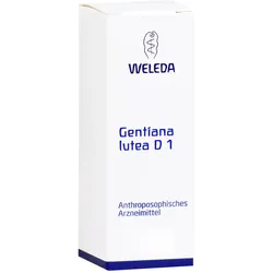 Gentiana Lutea D 1