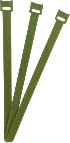 FASTECH Klettkabelbinder zum Bündeln Haft- und Flauschteil (L x B) 250mm x 13mm Grün 100St.