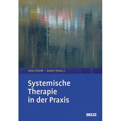 Systemische Therapie in der Praxis, Gebundene Ausgabe von , Beltz Verlagsgruppe GmbH & Co. KG, 978-3-621-28527-8