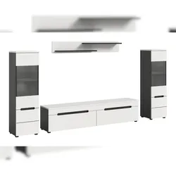 Ebuy24 Canu Regal C6 System inkl. Beleuchtung weiß, dunkelgrau.