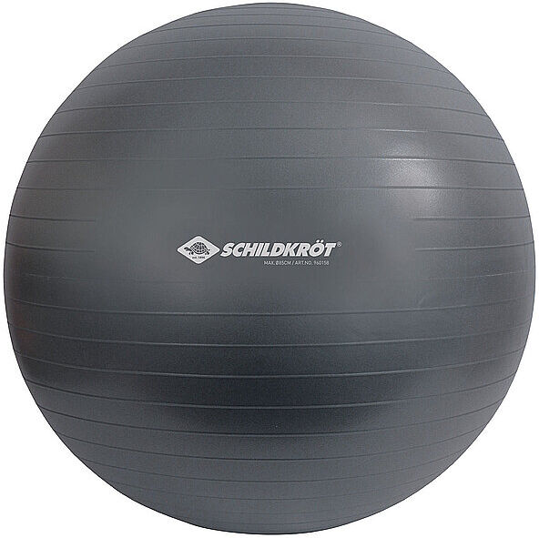 SCHILDKRÖT Gymnastikball 85cm grau B
