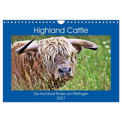Highland Cattle, die Hochlandrinder aus Pfeffingen (Wandkalender 2027 DIN A4 quer), CALVENDO Monatskalender
