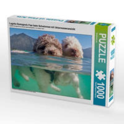 CALVENDO Puzzle Lagotto Romagnolo Paar beim Schwimmen mit Unterwasseransicht | 1000 Teile Lege-Größe 64x48cm Foto-Puzzle für glückliche Stunden