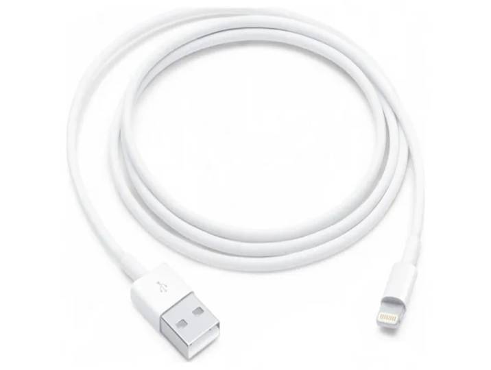 Apple Câble USB vers Lightning - 1 m