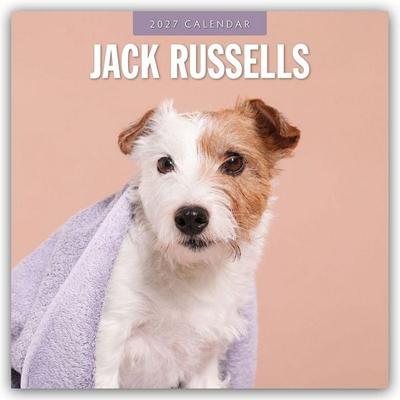 Jack Russells – Jack Russell Terrier 2027 – 16-Monatskalender