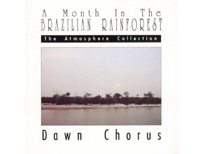 Dawn Chorus