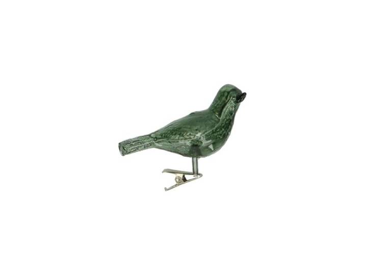 Knijper vogel, glas, groen