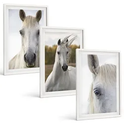 BILDER SET 3er Set - 40x60 cm Weißer Rahmen - Weiße Pferde in der Natur