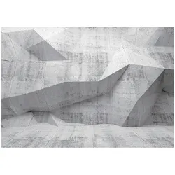 FOTOTAPETE 3D Abstrakt Grau 312x219 cm