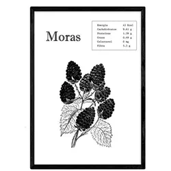 POSTER Fruits & Vegetables – Berries A4 Rahmenlos