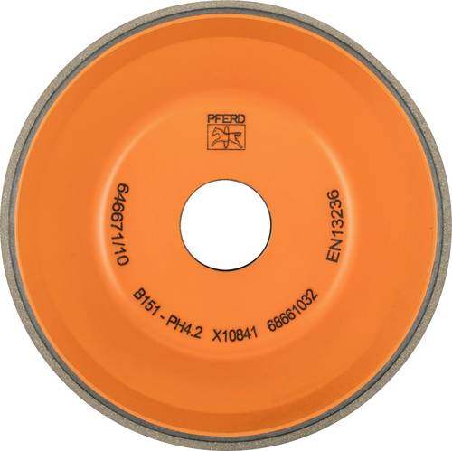 PFERD TOOLS 68661032 Schleifwerkzeug Durchmesser 100mm 1St.