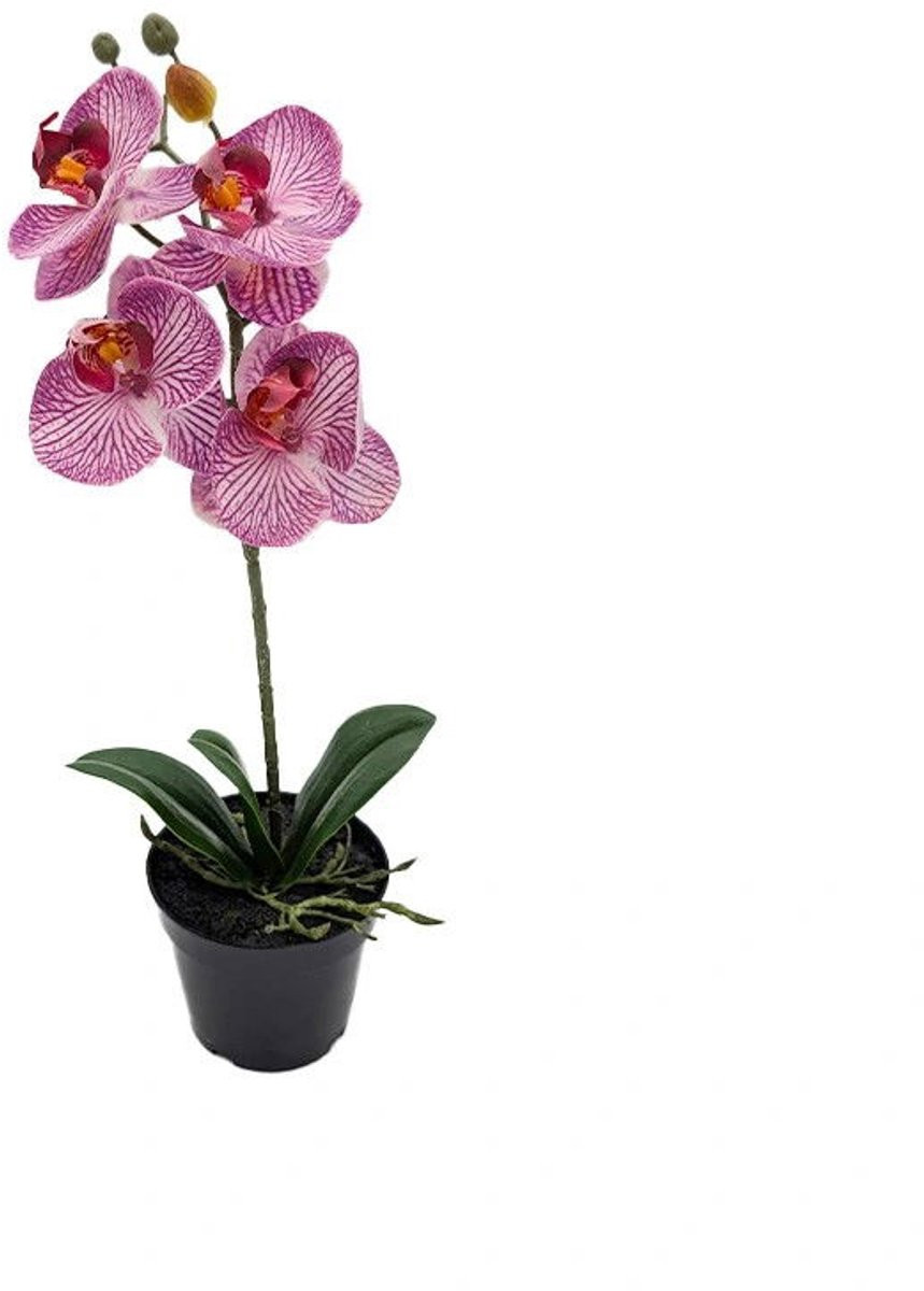 Tiger Cerise Phalaenopsis Orchidee kunstplant in pot, 50 cm