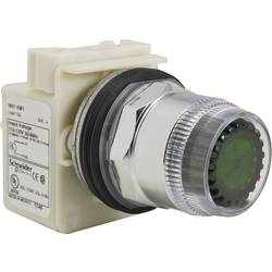 Schneider Electric 9001K1L1GH13 DRUCKTASTER 600 V AC 10A 30 MM T-K Drucktaster 1 St.
