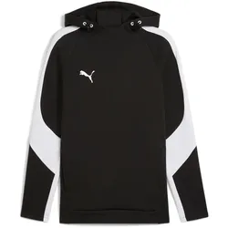 PUMA teamEvostripe Hoodie Herren 03 - PUMA black-PUMA silver-PUMA white M