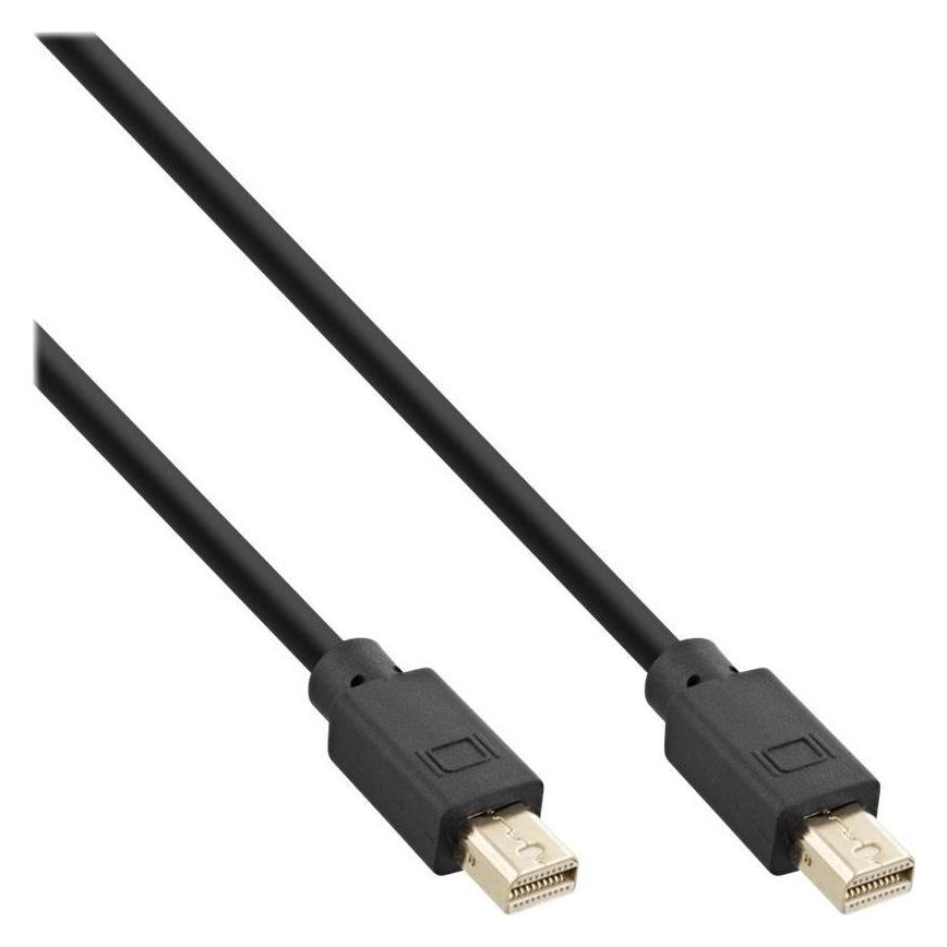 InLine Mini DisplayPort 1.4 Kabel (1 m) (17121P)