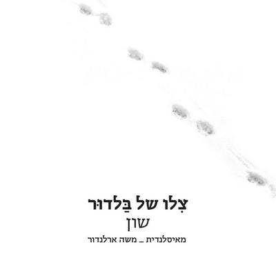 צלו של בלדור - שון, Audio, 9789180281317